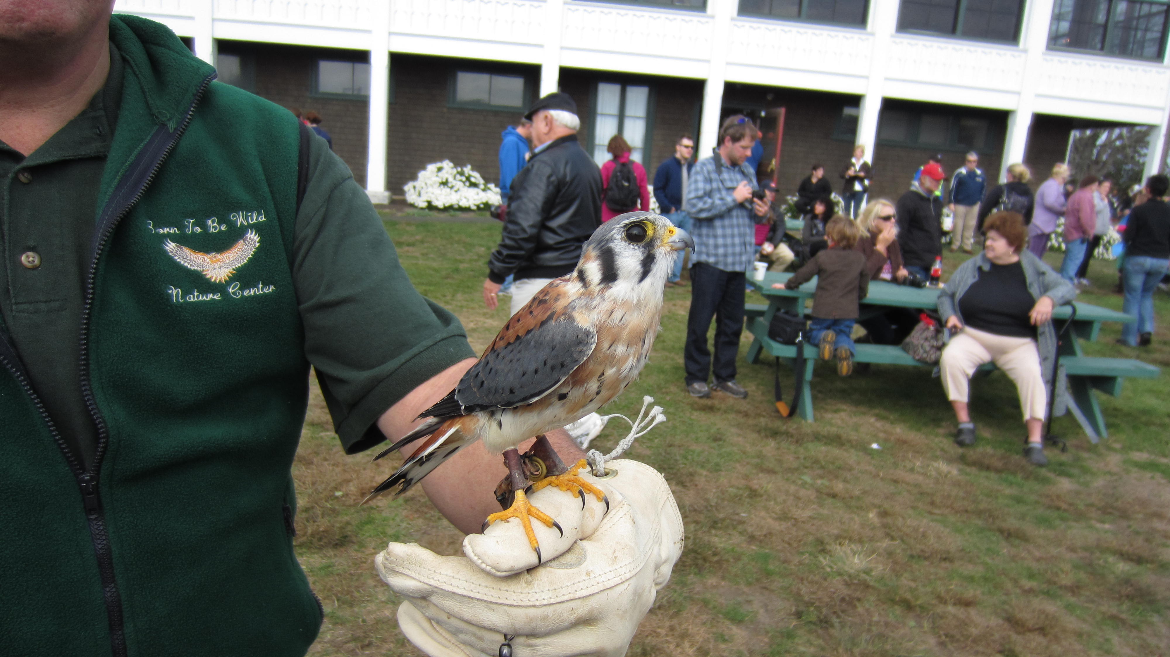 2012 Pumpkin Festival 025